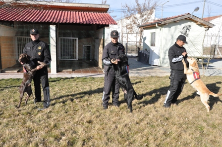 Suçluların korkulu rüyası köpekler