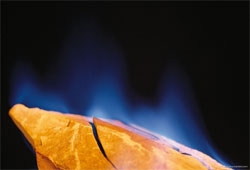 İstanbul'da gaz paniği