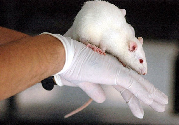 Farelere ''6. his'' verildi