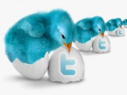 İşte Türkiye'nin Twitter haritası