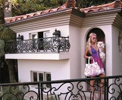 Paris'ten köpeğine havuzlu villa