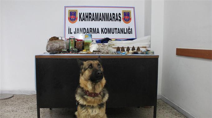 Cephaneyi köpek ortaya çıkardı