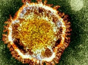 Dünyada 'corona' alarmı