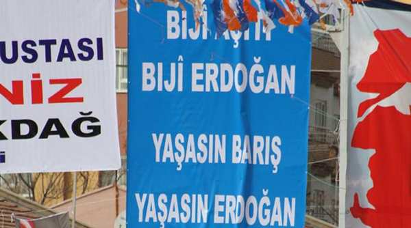 Biji aşiti, biji Erdoğan
