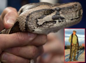 ABD'de piton avlama yarışması