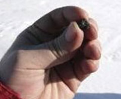 Meteorun parçaları bulundu