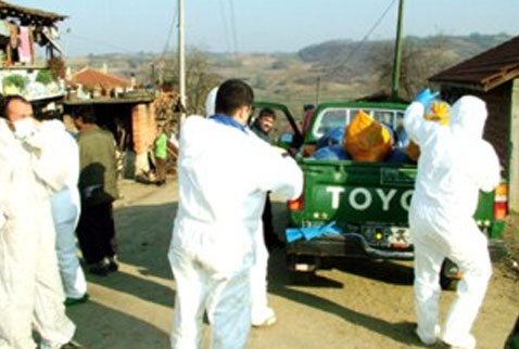 Konya'da şap karantinası