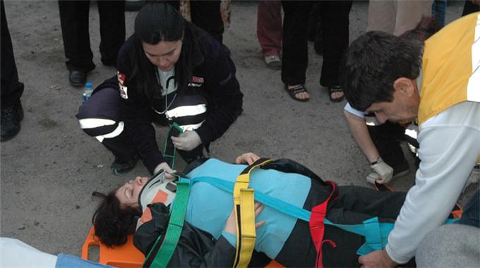 At arabası kadını hastanelik etti