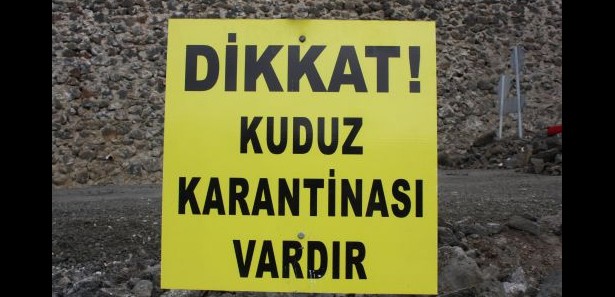 Nevşehir'de bir köy kuduz karantinasına alındı