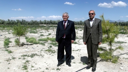 “Fidan dikmek kadar onları korumak da önemli”