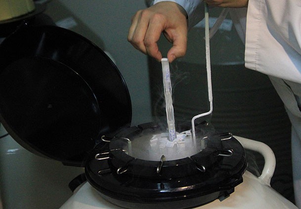 Eksi 196 dereceden gelen bebekler