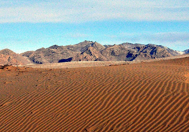 TİKA çölleşmeye karşı devrede