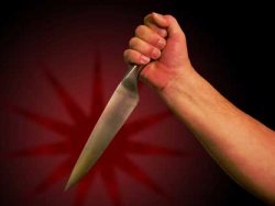 Lise öğrencisi anne ve babasını öldürdü