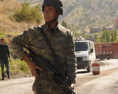 Lice'de terör operasyonu