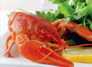 Bir gıda skandalı da ABD'den