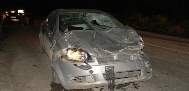 Otomobil sürüye daldı, çoban ağır yaralandı