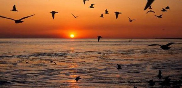 İkinci cemre düştü