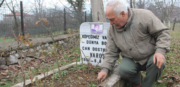 Sadık dostu için bahçesine mezar yaptı