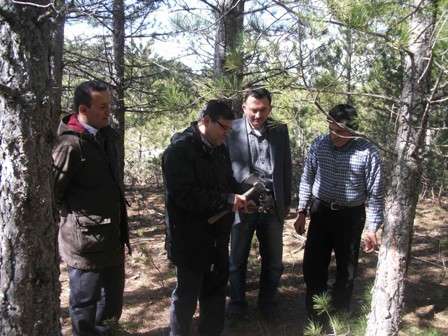 Beyşehir’de protokol ormanda damga yaptı