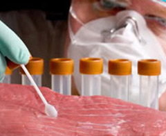 Hayvanseverlerden yapay et projesi