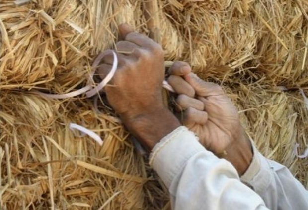 Ereğli'de ithal samanlar dağıtılıyor