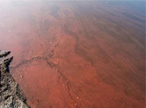 Sapanca Gölü kıpkırmızı oldu!