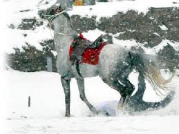 Kulu’da attan düşen çoban hastanelik oldu