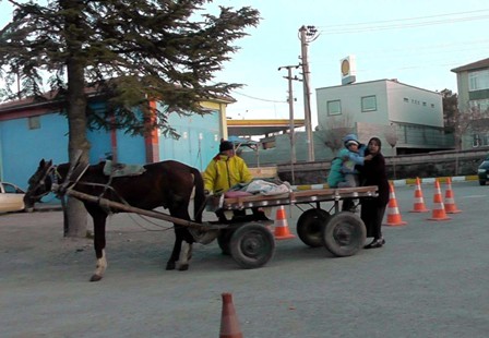 Ambulans yerine at arabasıyla taşıdı
