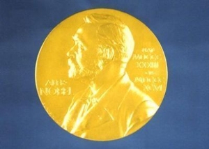 2013 Nobel Barış Ödülü'ne rekor aday