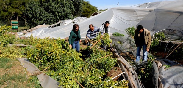 Mersin'de şiddetli rüzgar seraları yıktı