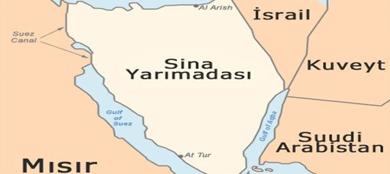 Sina yarımadasını çekgirgeler istila etti