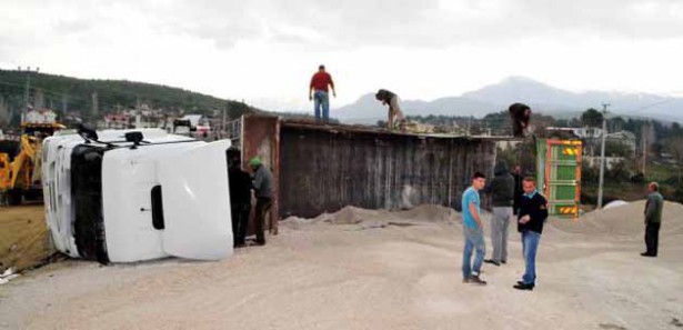 Köpek TIR'ı devirdi!