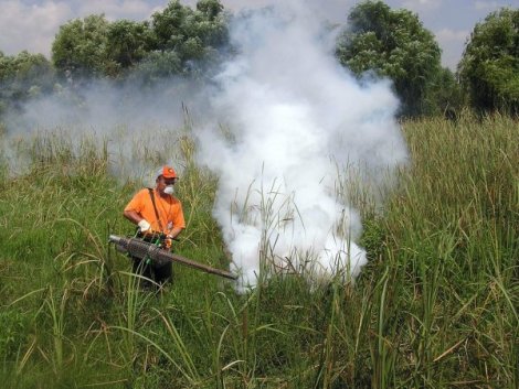 Beyşehir'de sinekle mücadele