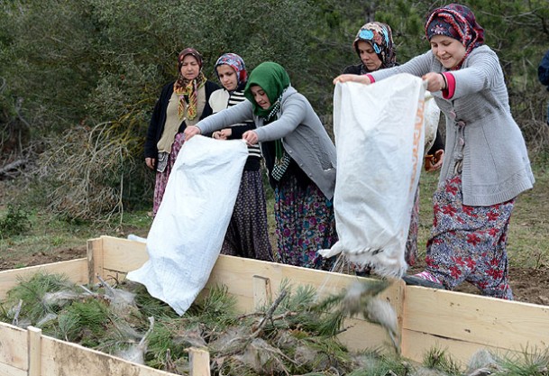 Ekmeklerini ormandan çıkarıyorlar