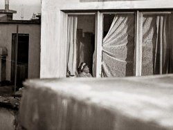 Said Nursi'nin 53 yıl sonra ilk kez yayınlanan fotoğrafı