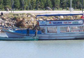 YATLAR Ramazan uykusunda