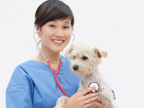 Mezunların en kolay iş bulduğu meslekler