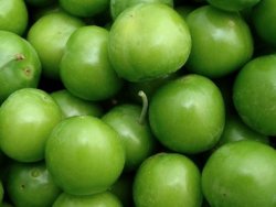 Baharın müjdecisi erik tezgahlarda