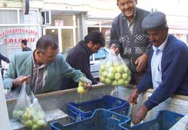 Hayırsever çiftçi ücretsiz elma dağıtıyor