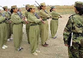 KÜRT meselesi, kimin meselesi?