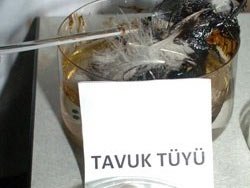 Tavuk tüyünden müthiş buluş