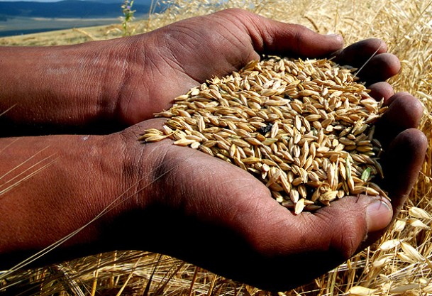 Tarımsal destekte süre uzadı