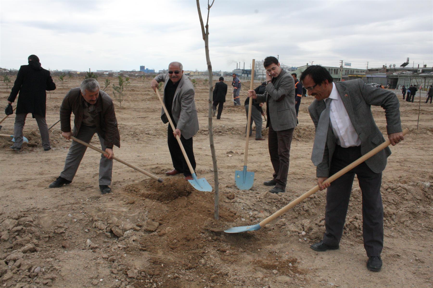 Hadim'de Ağaç Dikme Seferberliği