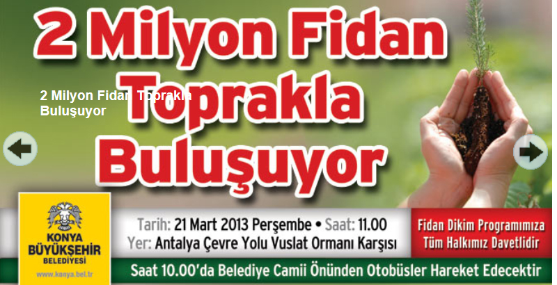 2 milyon ağaç dikilecek