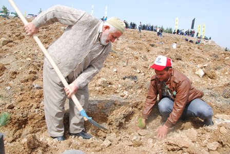 2 milyon fidanı toprakla buluştu