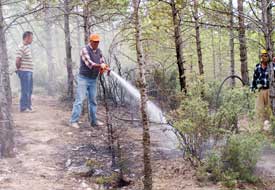 Orman yangını erken fark edildi