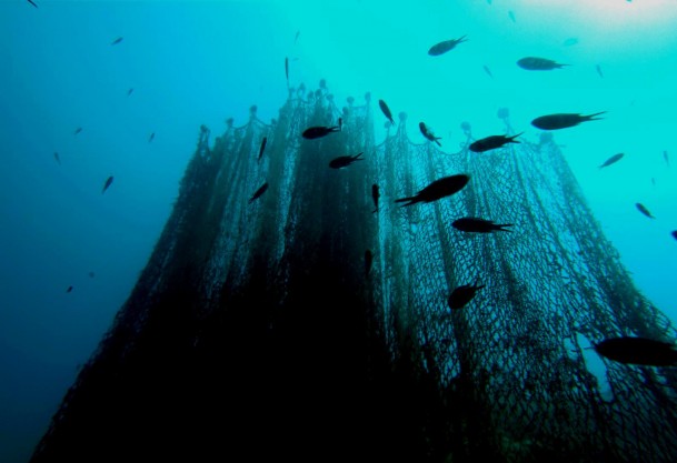 ''Hayalet ağlar'' temizlenecek