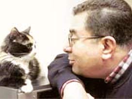 Anayasa'da neler, niçin unutuldu?