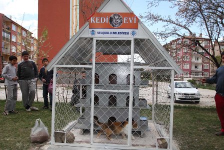 Selçuklu’da kedilerin evi artıyor