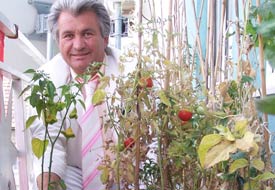 Başkan balkonda sebze yetiştiriyor